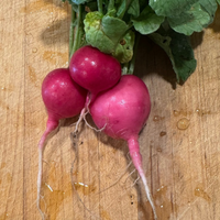 Thumbnail for Pink Radish, Organic