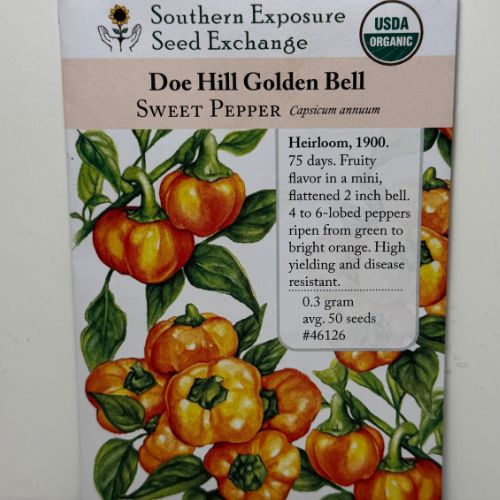 Doe Hill Golden Bell Sweet Pepper, 1900 Heirloom, Organic