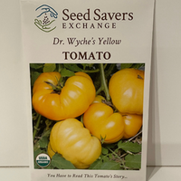 Thumbnail for Dr. Wyche's Yellow Tomato Seeds, Organic
