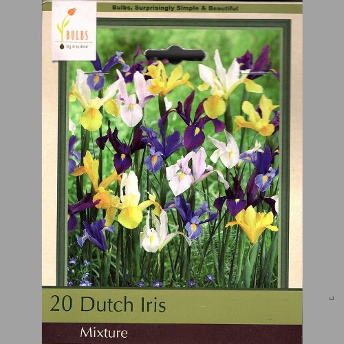 Dutch Iris Mix Bulbs