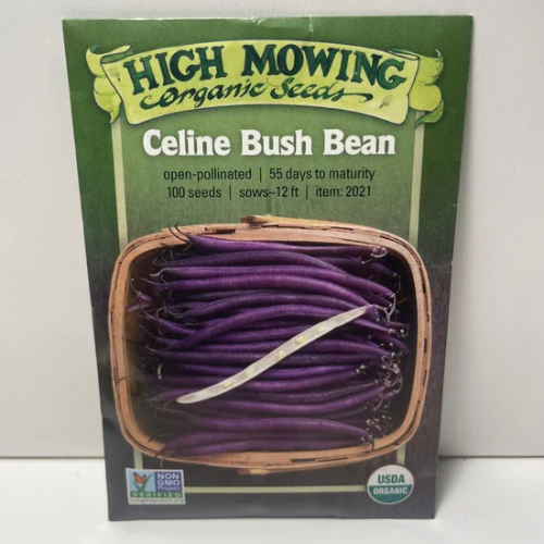 Celine Bush Bean Seeds, Organic