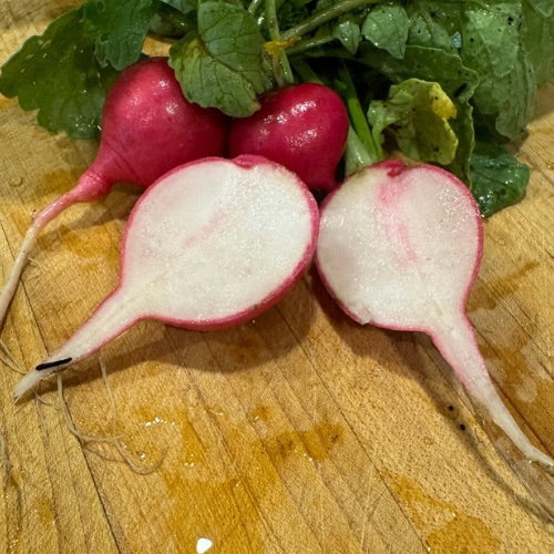 Pink Radish, Organic