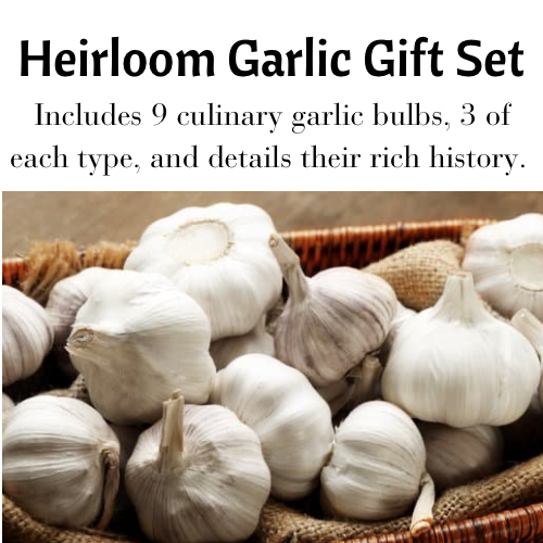 Heirloom Garlic Gift Set