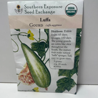 Thumbnail for Luffa - or Loofah Seeds, Gourds