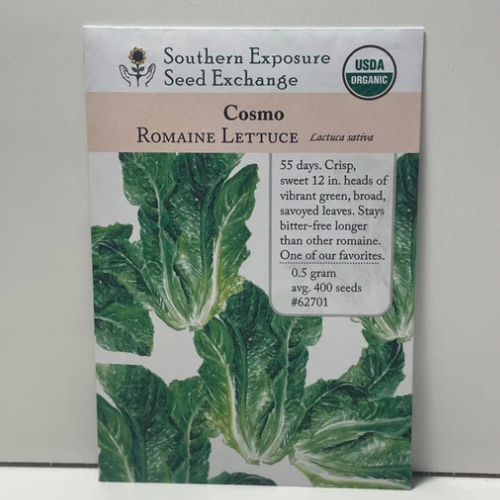 Cosmo Romaine Lettuce Seeds, organic