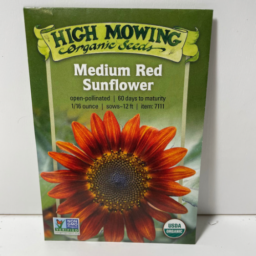 Medium Red Sunflower, Organic