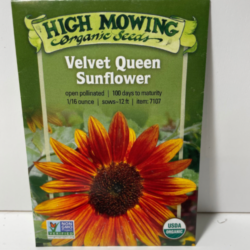 Velvet Queen Sunflower, Organic