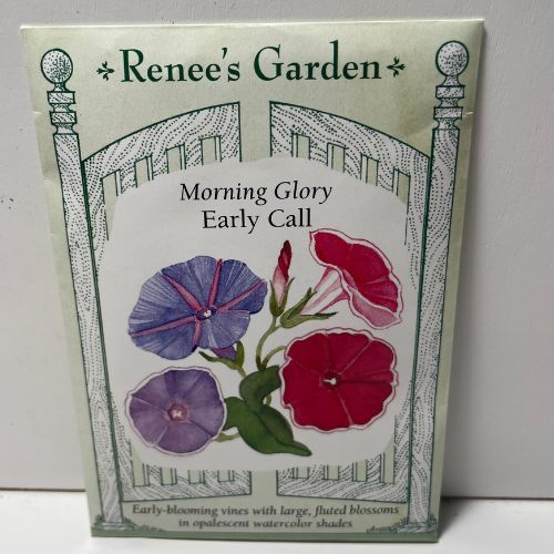 Early Call Morning Glory Flower Seeds, Pink and Blue Mixed Colors Morning Glories