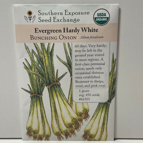 Evergreen Hardy White Bunching Onion Seeds, Heirloom, Organic