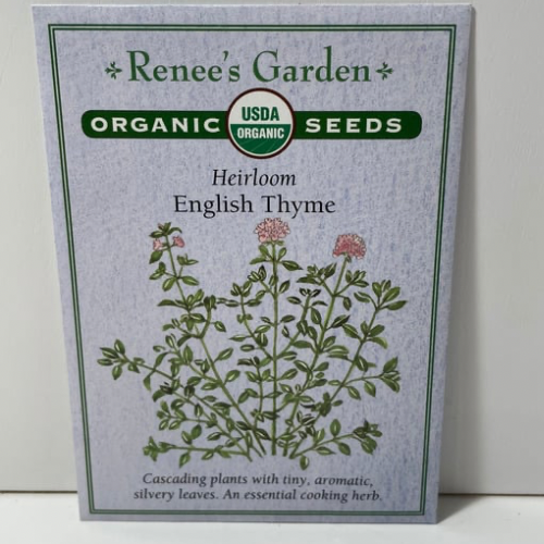 English Thyme Seeds, Heirloom, Organic