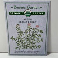 Thumbnail for English Thyme Seeds, Heirloom, Organic