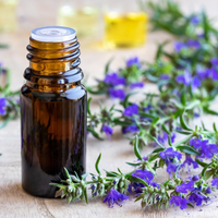 Thumbnail for Hyssop Flower, 1,300 years old heirloom