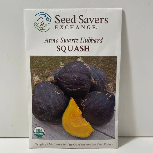 Anna Swartz Hubbard Squash Seeds, Heirloom, organic