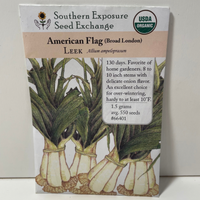Thumbnail for American Flag Leek Seeds, Organic