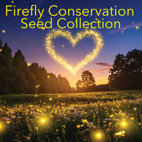 Firefly Conservation Seed and Habitat Kit