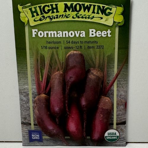 Cylindra Beet, Formanova Beet, or Long Beet, Danish Heirloom