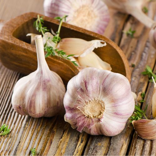 Garlic Bulbs and Cloves