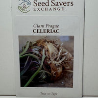 Thumbnail for Giant Prague Celeriac, 1800's Heirloom