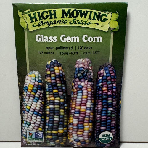 Glass Gem Corn, Organic