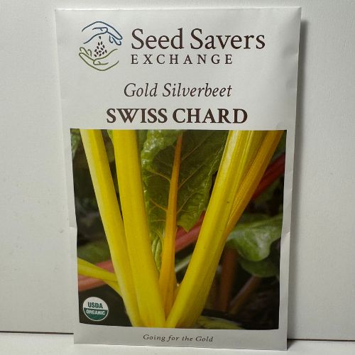 Gold Silverbeet Swiss Chard Seeds, Organic