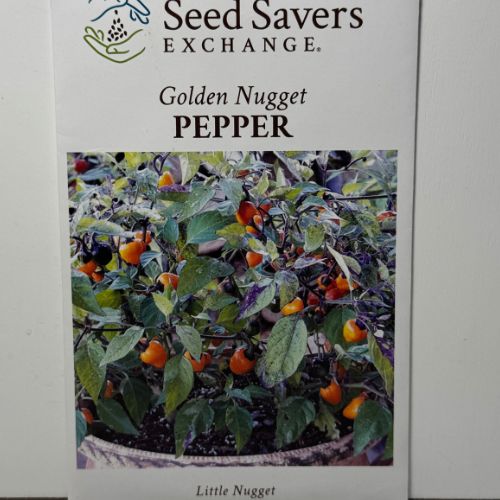 Golden Nugget Pepper (Hot)