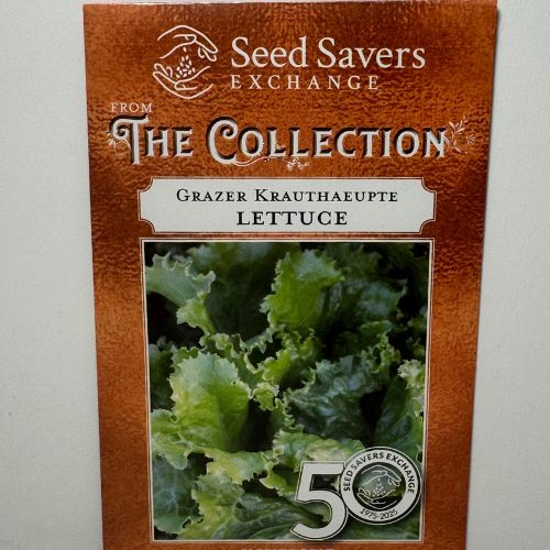 Grazer Krauthaeupte Lettuce, Heirloom