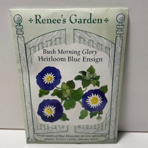 Blue Ensign Morning Glory Flower Seeds (Bush)
