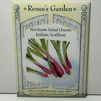 Thumbnail for Onion Scallions Italian, Heirloom