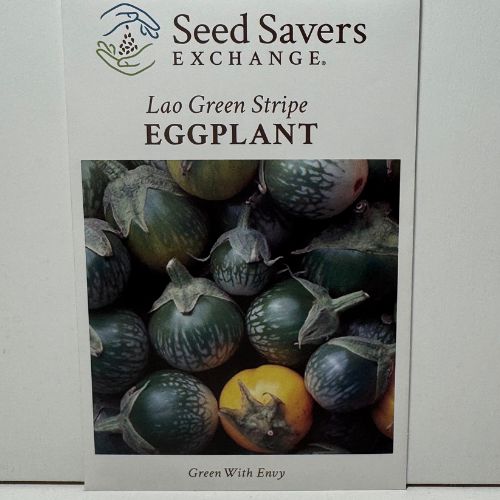 Lao Green Stripe Eggplant, Ancient Heirloom