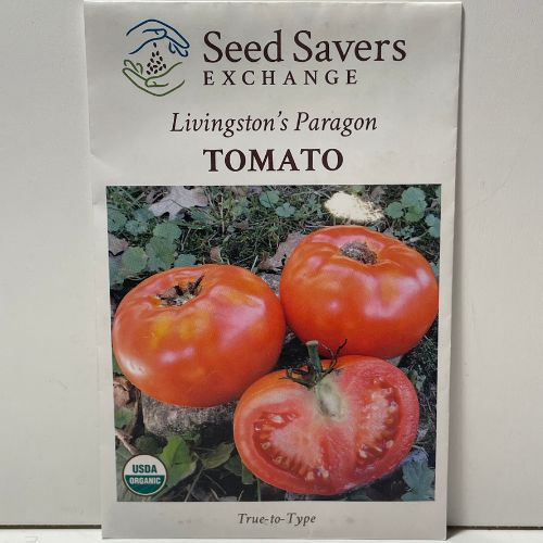 Livingston's Paragon Tomato Seeds, organic