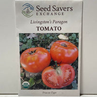 Thumbnail for Livingston's Paragon Tomato Seeds, organic