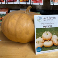 Thumbnail for Long Island Cheese Squash, 1806 Heirloom, Organic