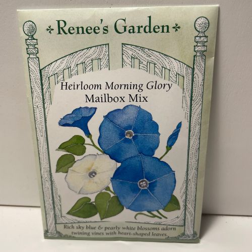 Mailbox Mix Morning Glory Flower Seeds, Blue and White Morning Glory