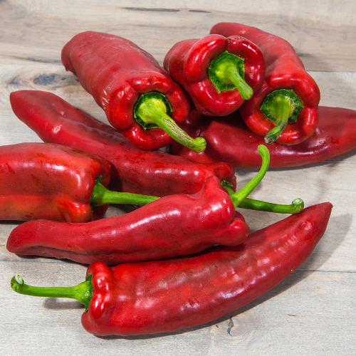 Marconi Red Pepper (Sweet)