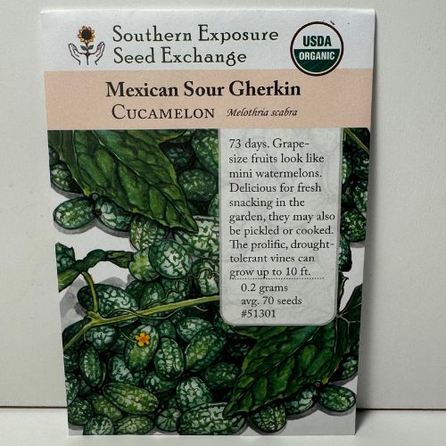 Mexican Sour Gherkin Cucumber, Cucamleon, 1866 Heirloom