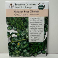 Thumbnail for Mexican Sour Gherkin Cucumber, Cucamleon, 1866 Heirloom