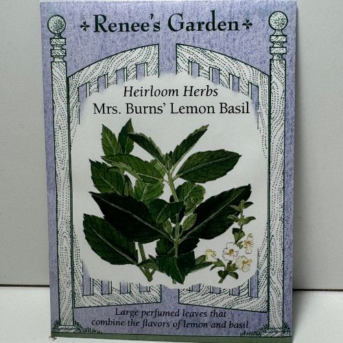 Mrs. Burns Lemon Basil, Heirloom