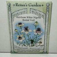 Thumbnail for Bridal Veil White Nigella, Heirloom, Cottage Classic