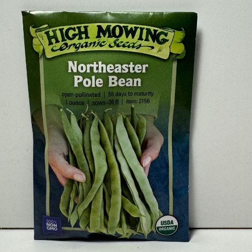 Northeaster Pole Bean Seeds, Early Riser, Romano Bean, Heirloom, Organic