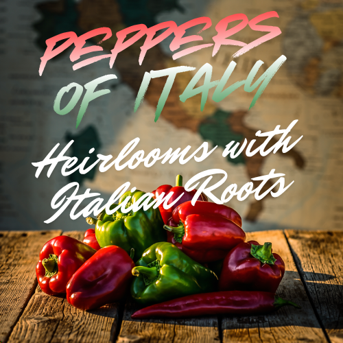Peppers of Italy, Heirloom Peppers with Italian Roots Seed Collection