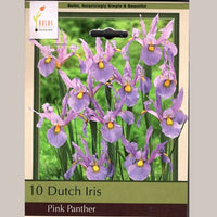 Thumbnail for Pink Panther Dutch Iris