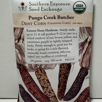 Thumbnail for Pungo Creek Butcher Dent Corn, Organic, Heirloom pre-1870’s origin Pungo Creek, VA