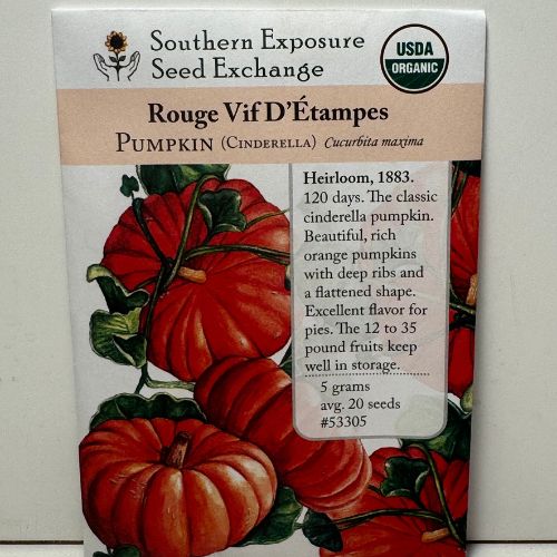 Rouge Vif d'Etampes 'Cinderella' Pumpkin, 1883 Heirloom - Organic and Conventional