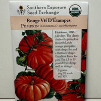 Thumbnail for Rouge Vif d'Etampes 'Cinderella' Pumpkin, 1883 Heirloom - Organic and Conventional