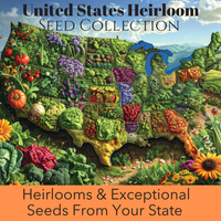 Thumbnail for Lower Central- United States Heirloom Seeds From Your State: A State by State Collection