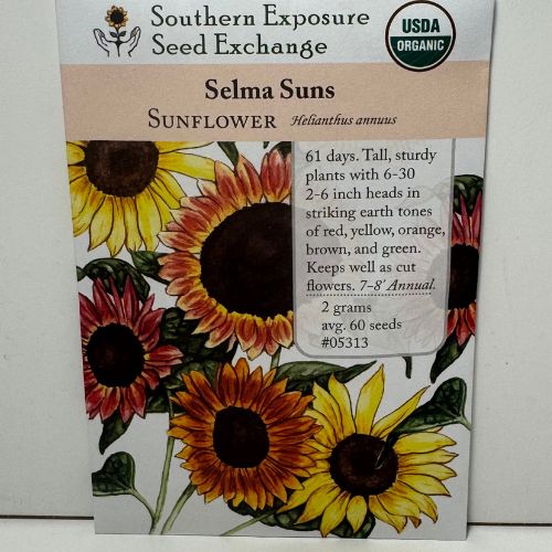 Selma Suns Sunflower, Organic