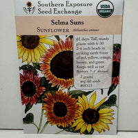 Thumbnail for Selma Suns Sunflower, Organic