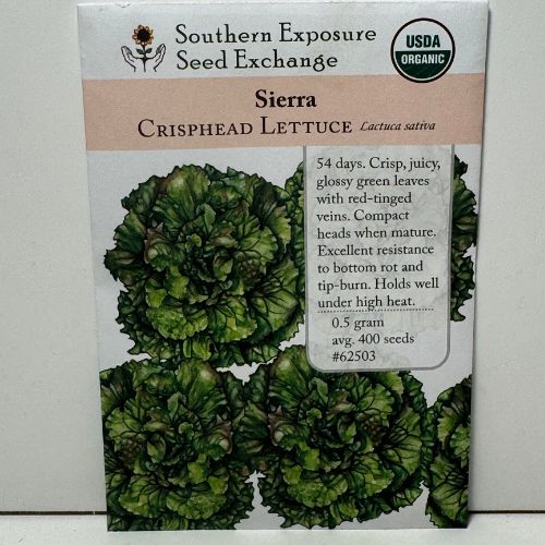 Sierra Crisphead and Batavian Lettuce, Organic, Summer Lettuce
