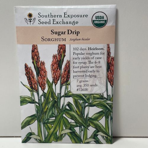 Sugar Drip Sorghum, Heirloom Seeds, Organic