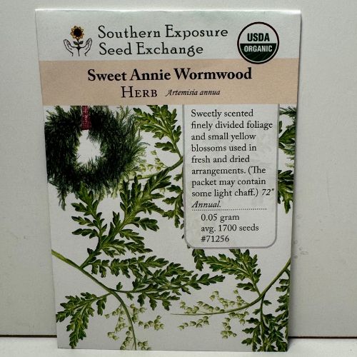 Sweet Annie Wormwood Herb, Ancient Heirloom, Organic